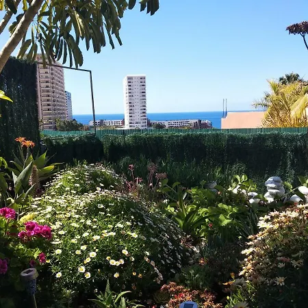 Holiday Calle El Horno Holiday home Costa Adeje (Tenerife)